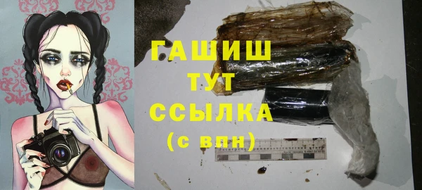 стаф Тобольск