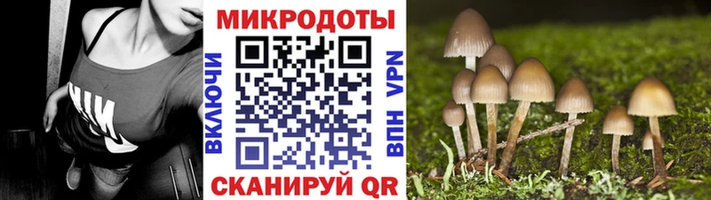 цена Кингисепп Галлюциногенные грибы ЛСД